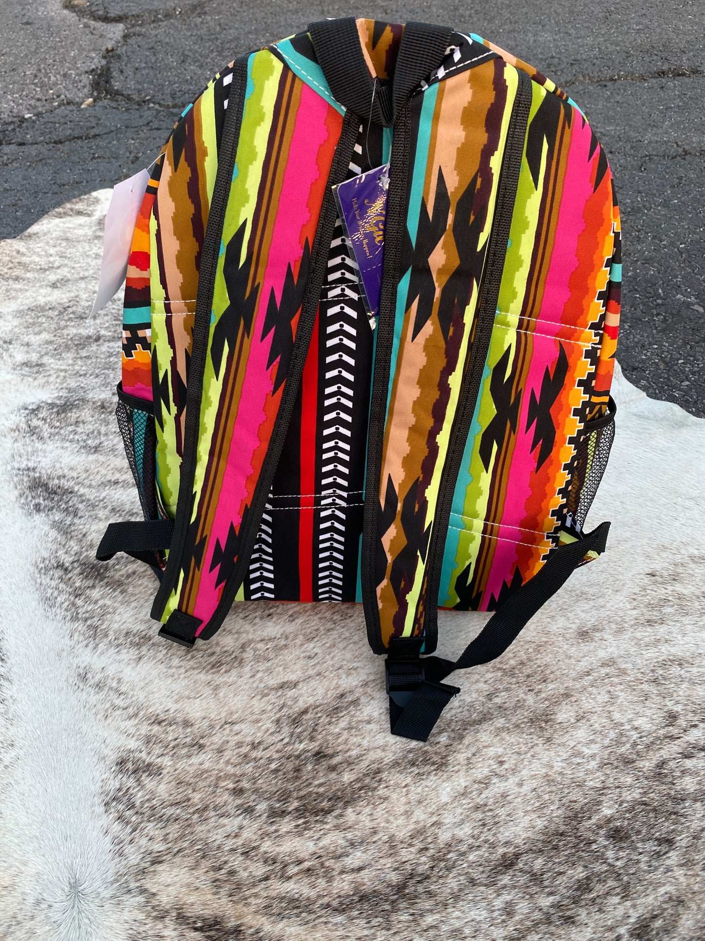 Southwest Serape Book Bag