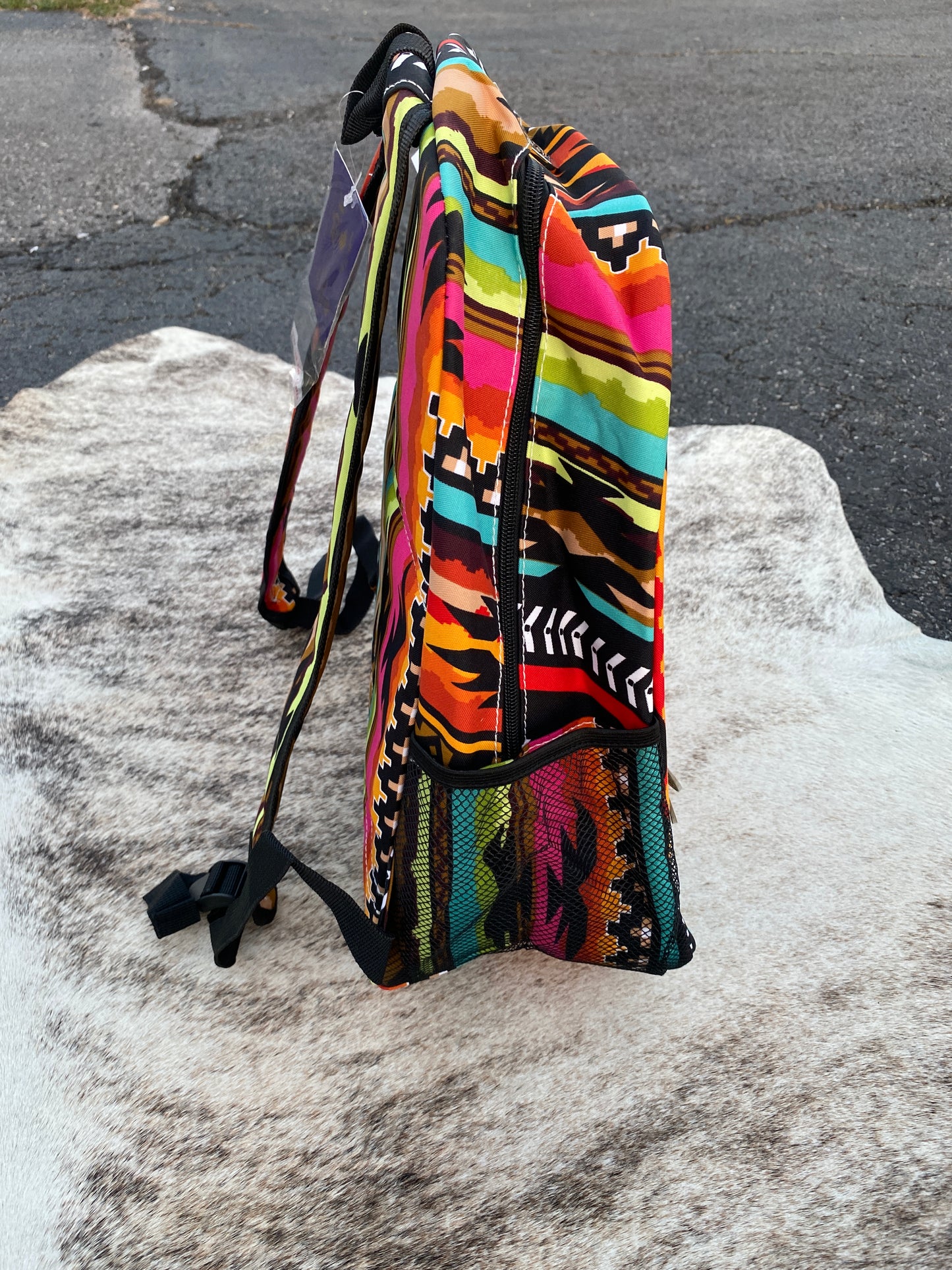 Southwest Serape Book Bag